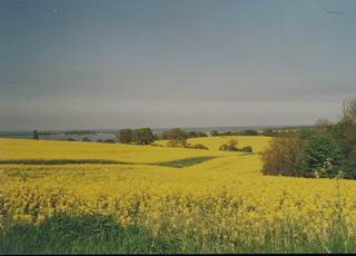 Frühling
